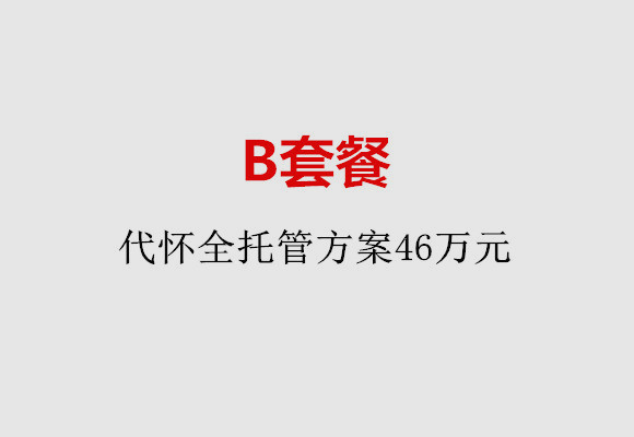 苏州B套餐：代怀全托管方案46万元